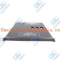 Triconex 4107 EICM	sales6@cambia.cn  NEW IN STOCK  BIG DISCOUNT